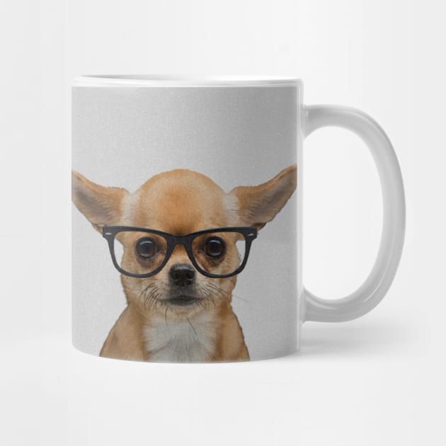 Portrait of Chihuahua with Nerd Glasses by luigitarini